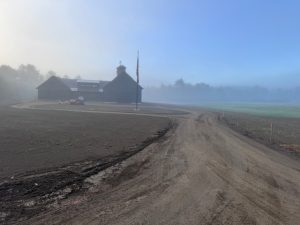 IMG_3972